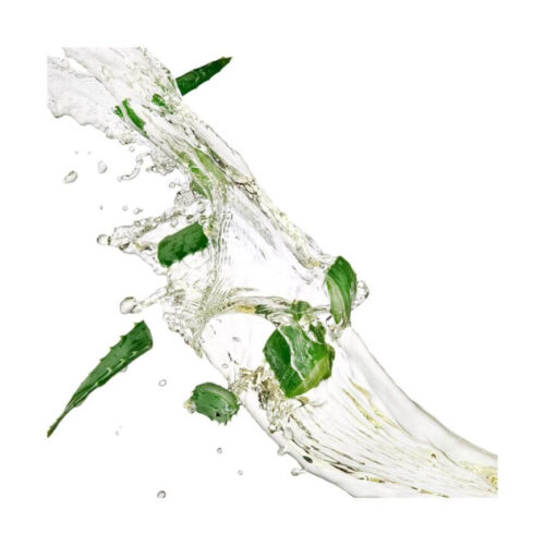 [Holika Holika] Aloe Cleansing Foam - Imagen 4