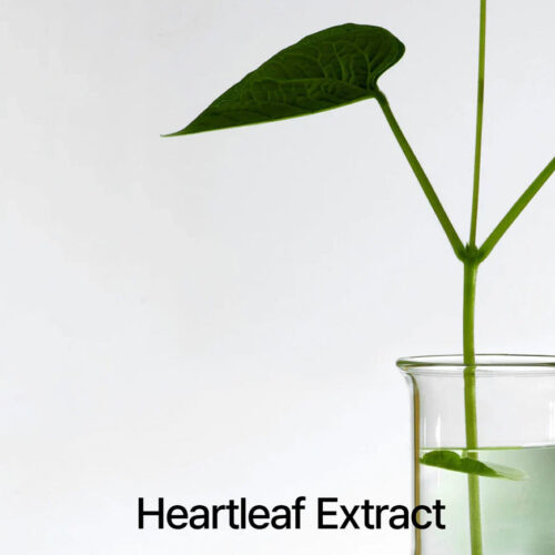 [Anua] Heartleaf 77% Soothing Toner (3 Tamaños) - Imagen 7
